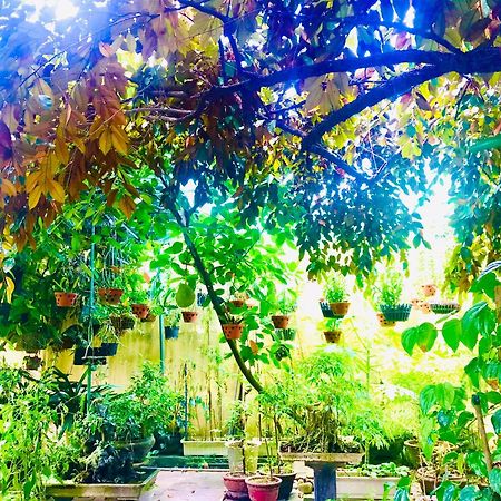 Pebble Homestay Hội An Buitenkant foto