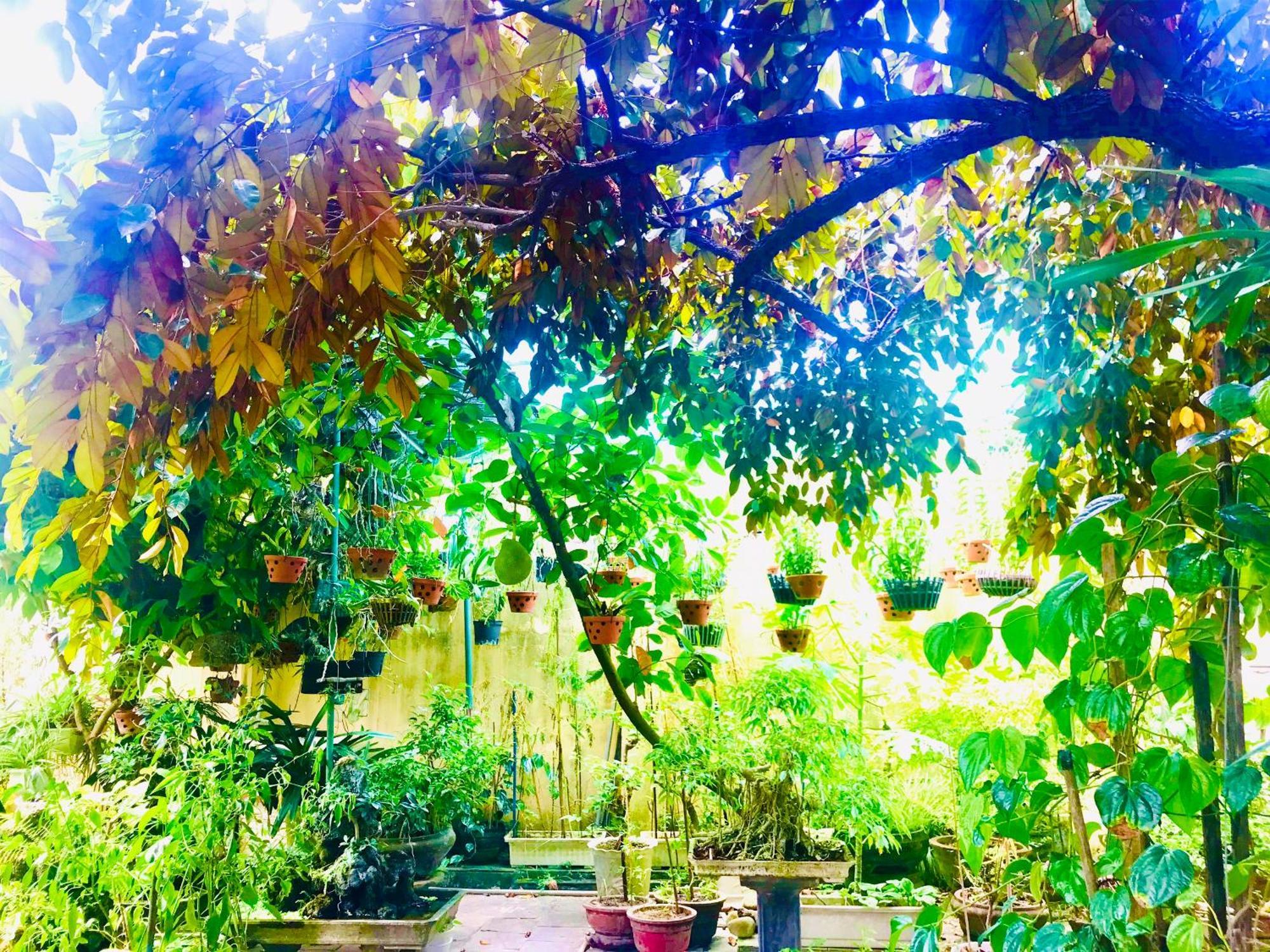 Pebble Homestay Hội An Buitenkant foto