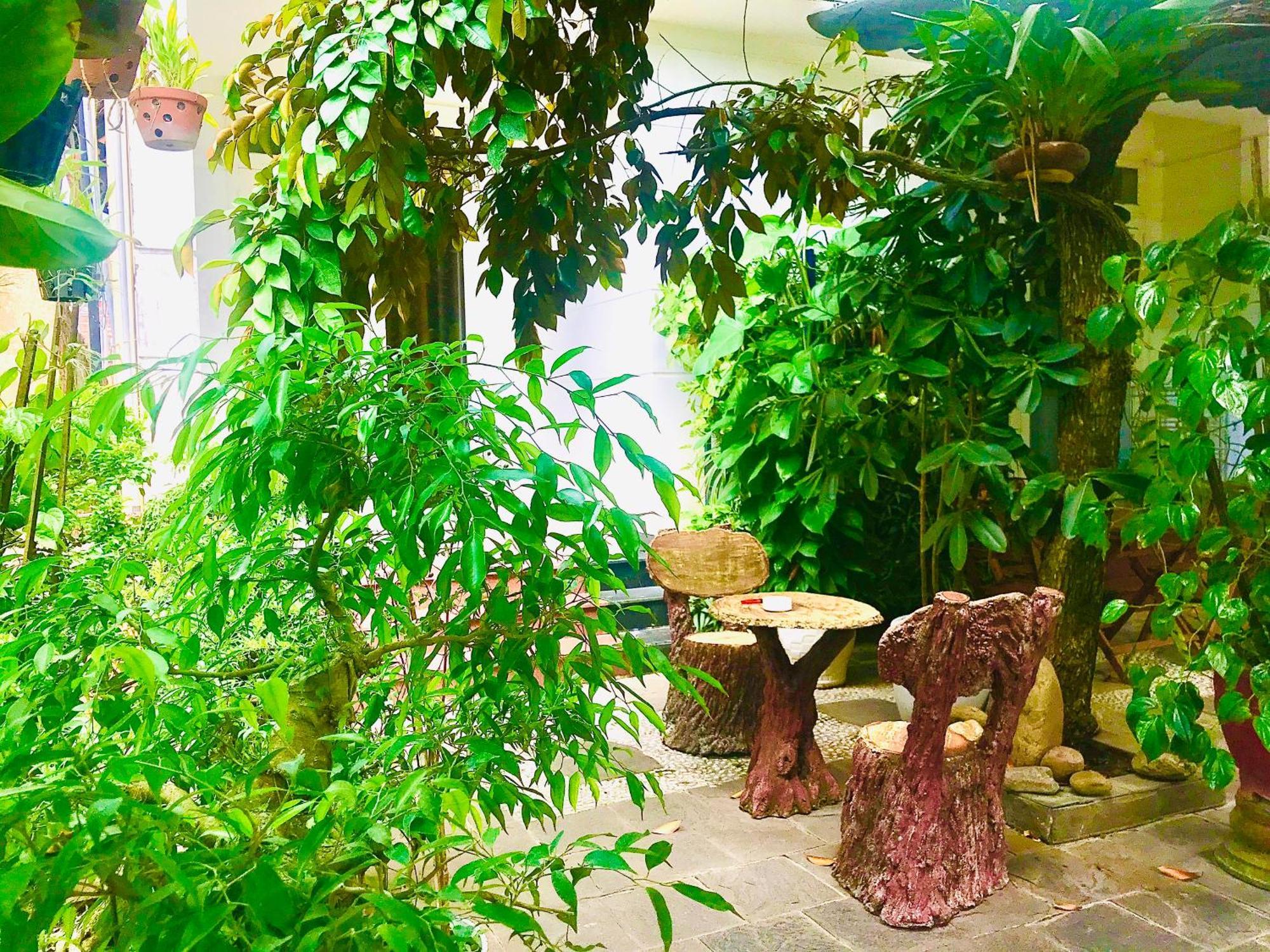 Pebble Homestay Hội An Buitenkant foto