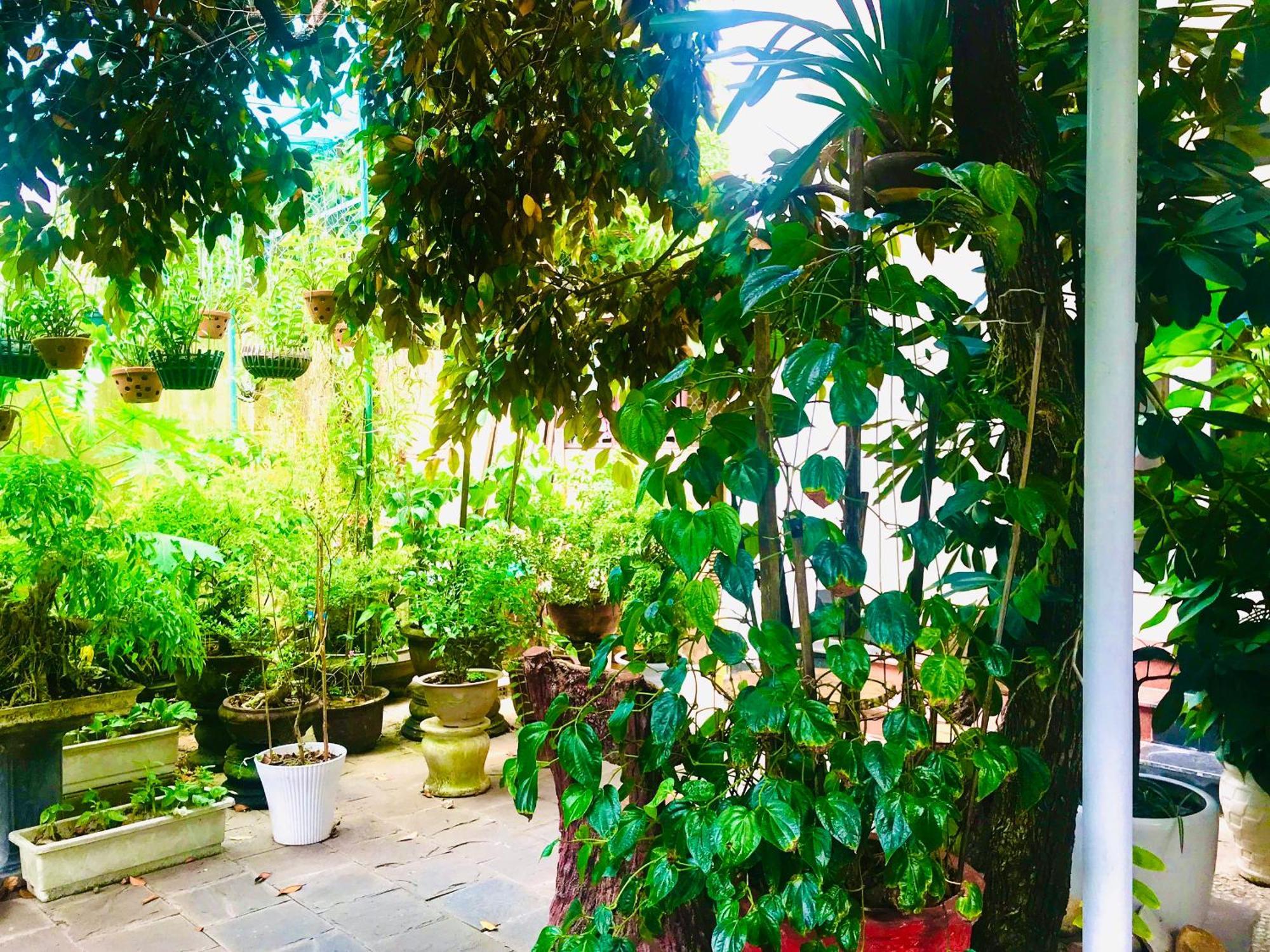 Pebble Homestay Hội An Buitenkant foto